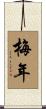 梅年 Scroll