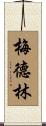 Medlin Scroll