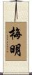 梅明 Scroll
