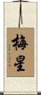梅星 Scroll