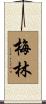 Mailyn Scroll