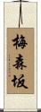 梅森坂 Scroll