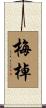 梅棹 Scroll