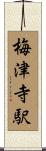 梅津寺駅 Scroll