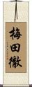 梅田徹 Scroll