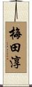 梅田淳 Scroll