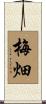 梅畑 Scroll