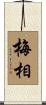 梅相 Scroll
