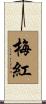 梅紅 Scroll