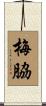 梅脇 Scroll