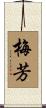 梅芳 Scroll