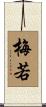 梅若 Scroll