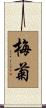 梅菊 Scroll
