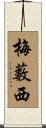 梅藪西 Scroll