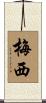 梅西 Scroll