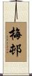 梅邨 Scroll