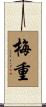 梅重 Scroll