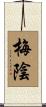 梅陰 Scroll