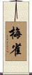 梅雀 Scroll