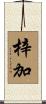 梓加 Scroll