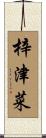 梓津菜 Scroll