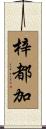 梓都加 Scroll