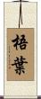 梧葉 Scroll