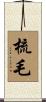 梳毛 Scroll