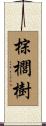 棕櫚樹 Scroll