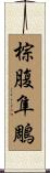 棕腹隼鵰 Scroll