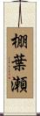 棚葉瀬 Scroll