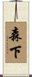 森下 Scroll