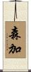 森加 Scroll