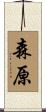 森原 Scroll