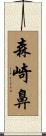 森崎鼻 Scroll