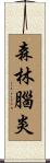 森林腦炎 Scroll