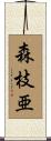 森枝亜 Scroll