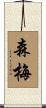 森梅 Scroll