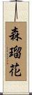 森瑠花 Scroll