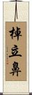 棹立鼻 Scroll