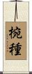 椀種 Scroll
