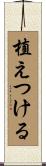 植えつける Scroll