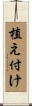 植え付け Scroll