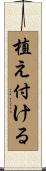 植え付ける Scroll