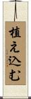 植え込む Scroll