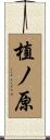 植ノ原 Scroll