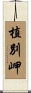 植別岬 Scroll