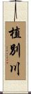 植別川 Scroll