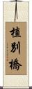 植別橋 Scroll