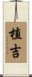 植吉 Scroll